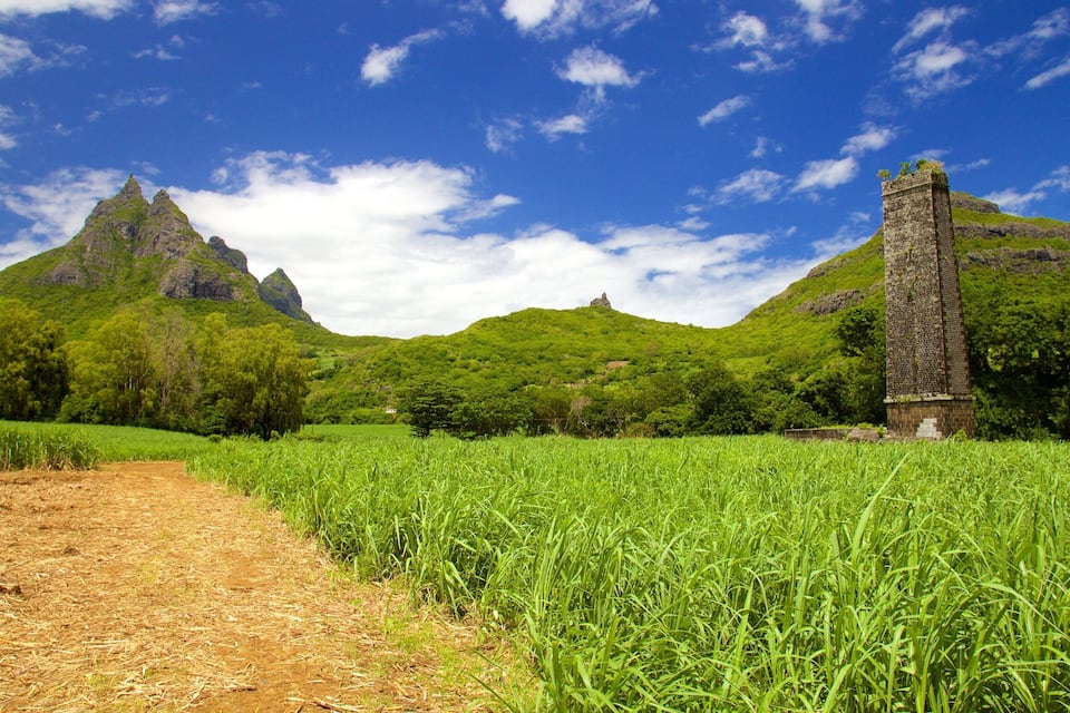 A lush green field with a stone monument and a mountain range in the background.