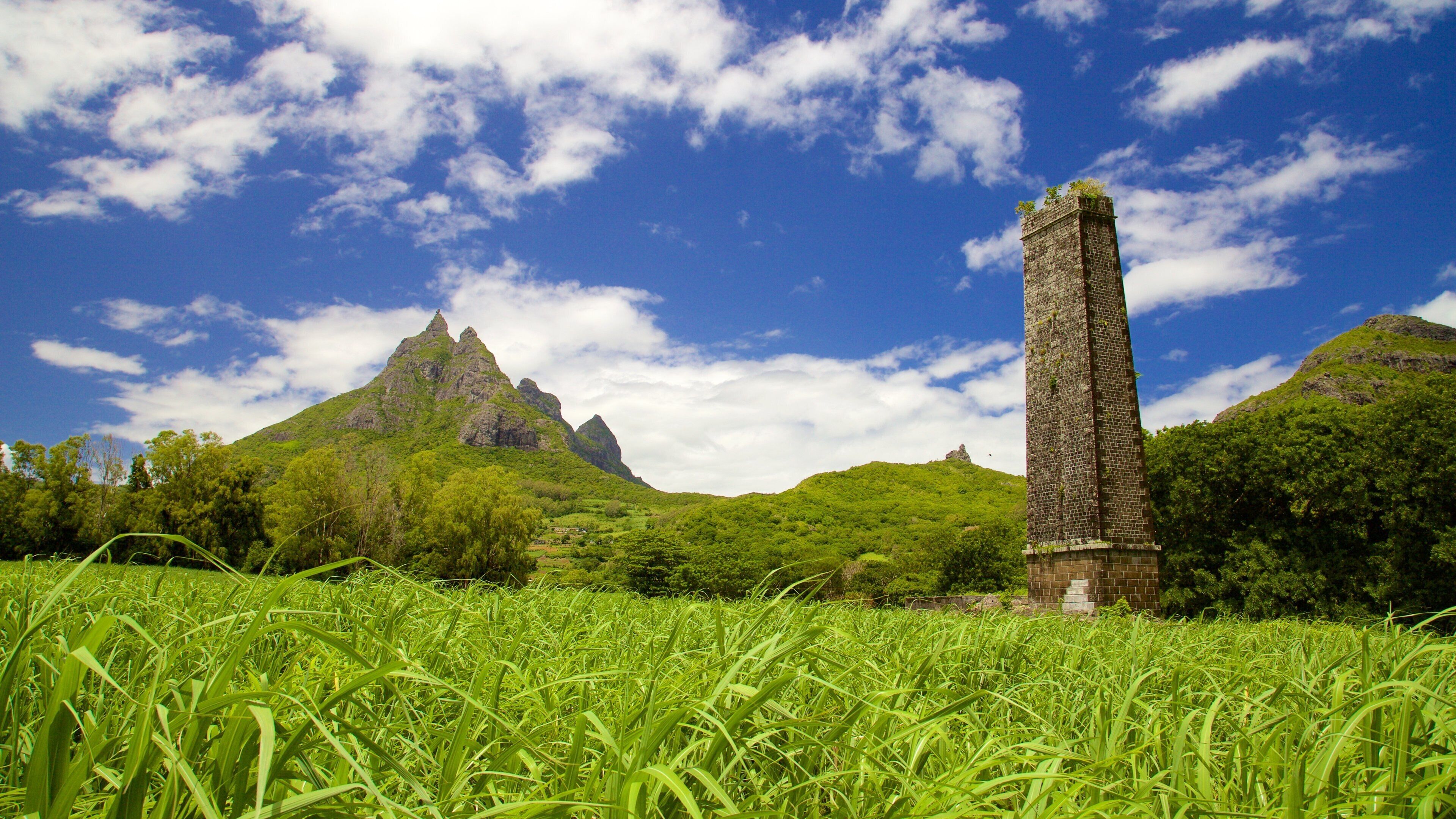 Pieter Both Mountain showing tranquil scenes and mountains