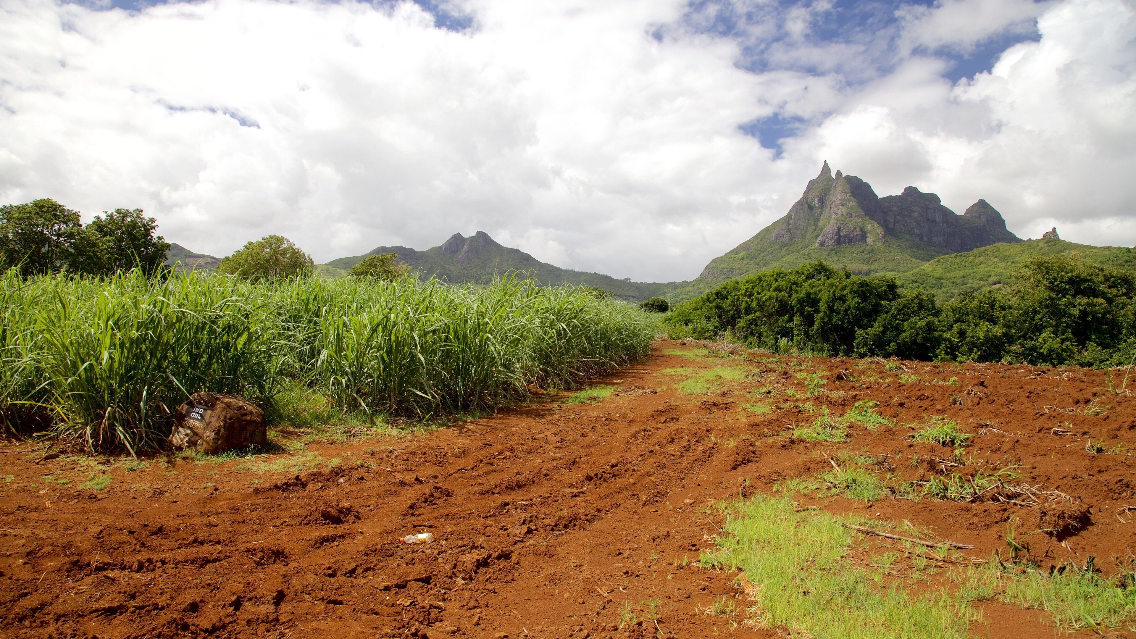 彼得·博茨山 呈现出 寧靜風景 和 山