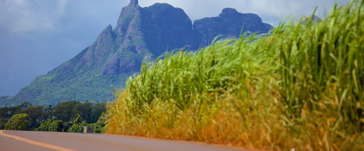 ピイーター ボト マウンテン 表示 ツーリング と 山々