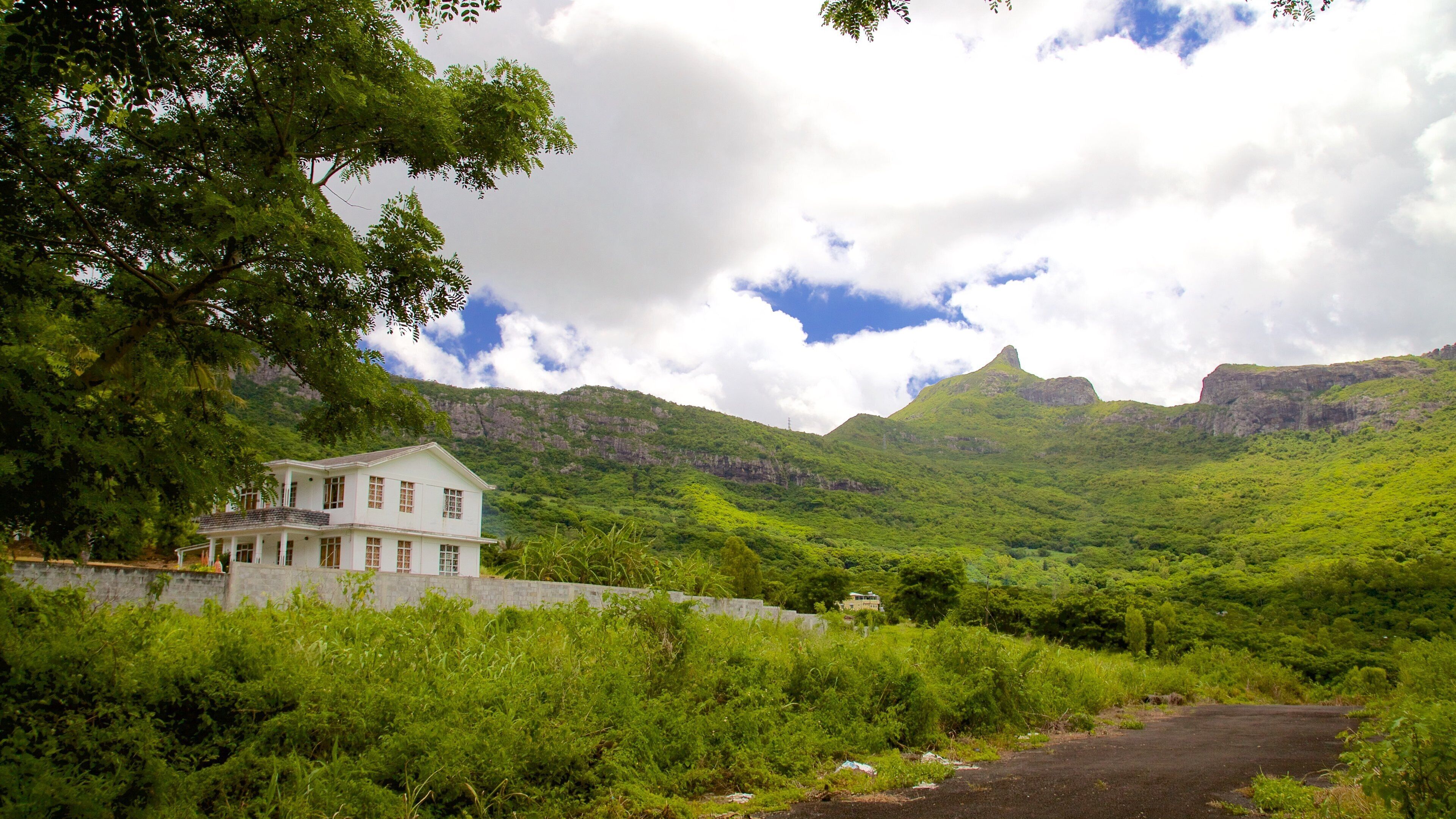 彼得·博茨山 呈现出 寧靜風景, 山 和 房屋