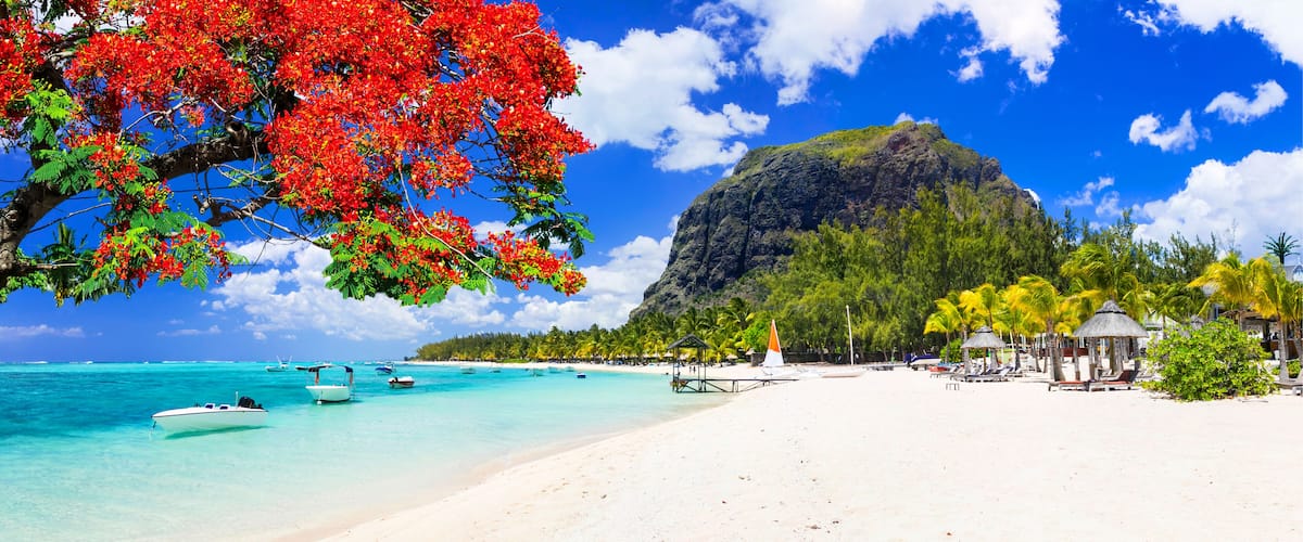 Beautiful beaches of sunny Mauritius island. Tropical vacations; Shutterstock ID 622686398; Purchase Order: -