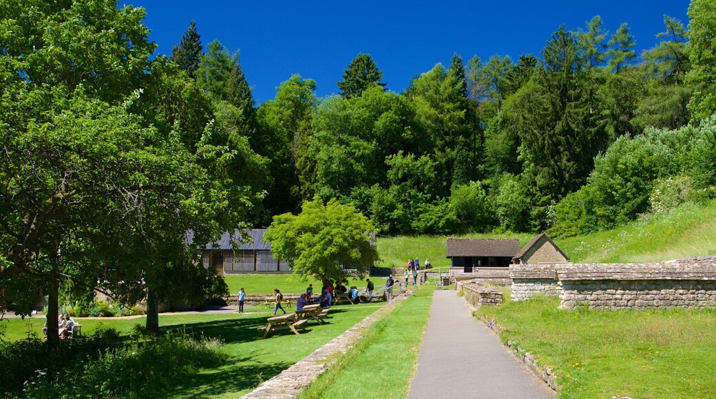 查德沃斯羅馬別墅 设有 公園 和 房屋