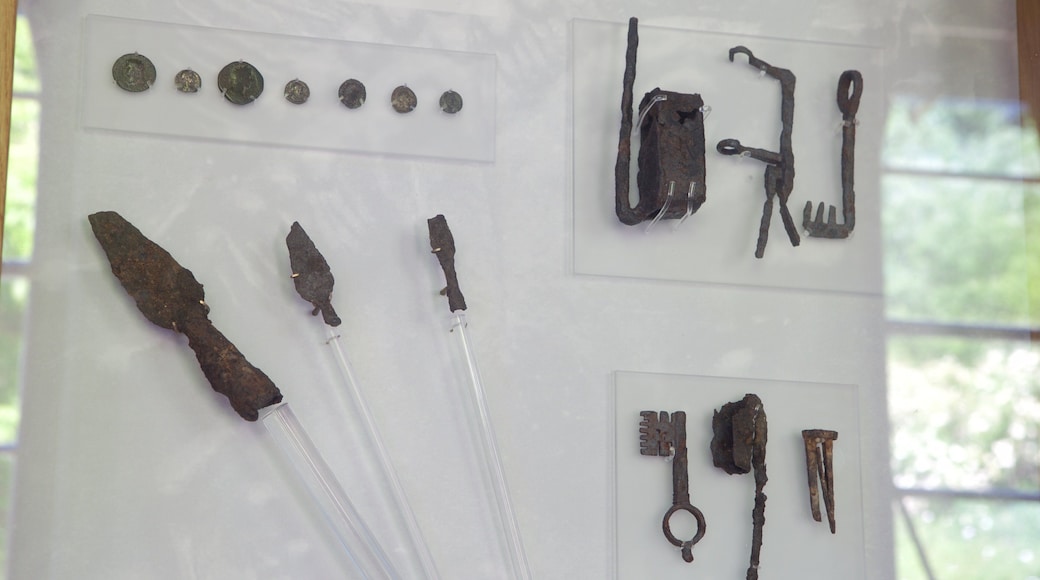 Villa romana de Chedworth que incluye elementos del patrimonio y vistas interiores