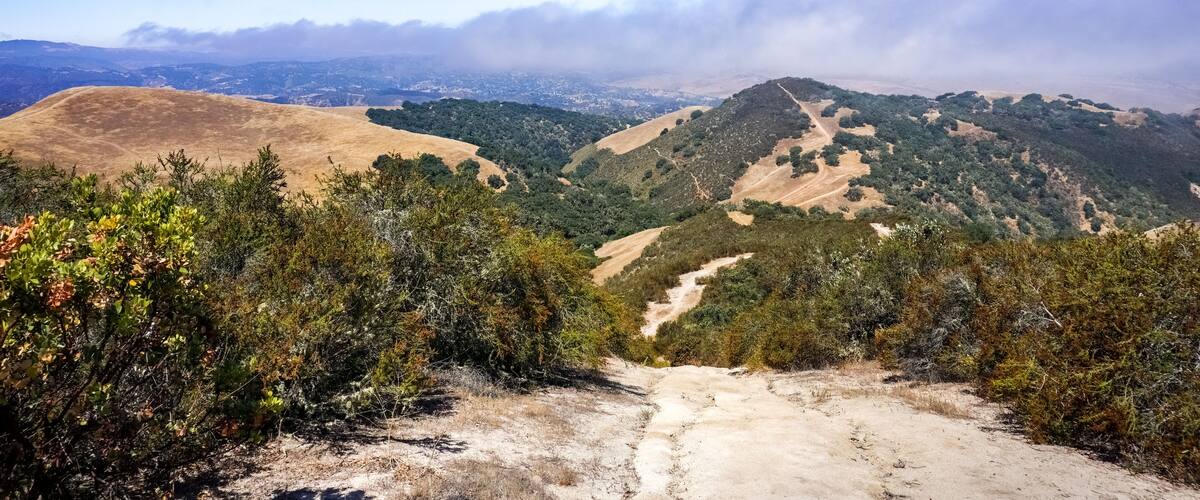 View towards Ollason Peak, Toro Park, California