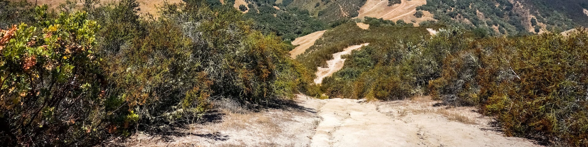 View towards Ollason Peak, Toro Park, California