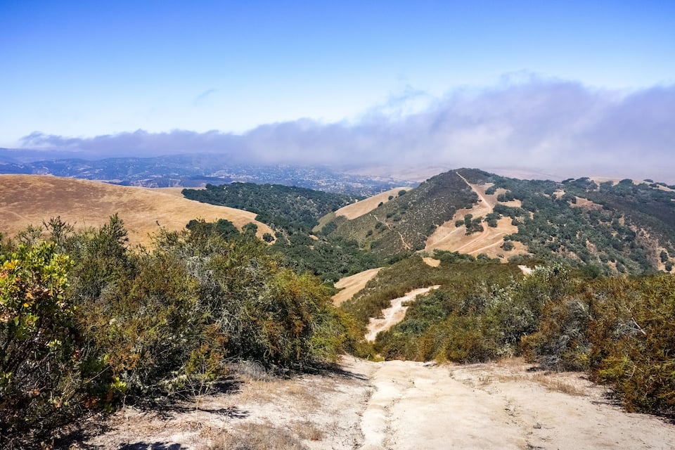 A mountain landscape with a dirt path, dense green forests, and a distant city skyline.