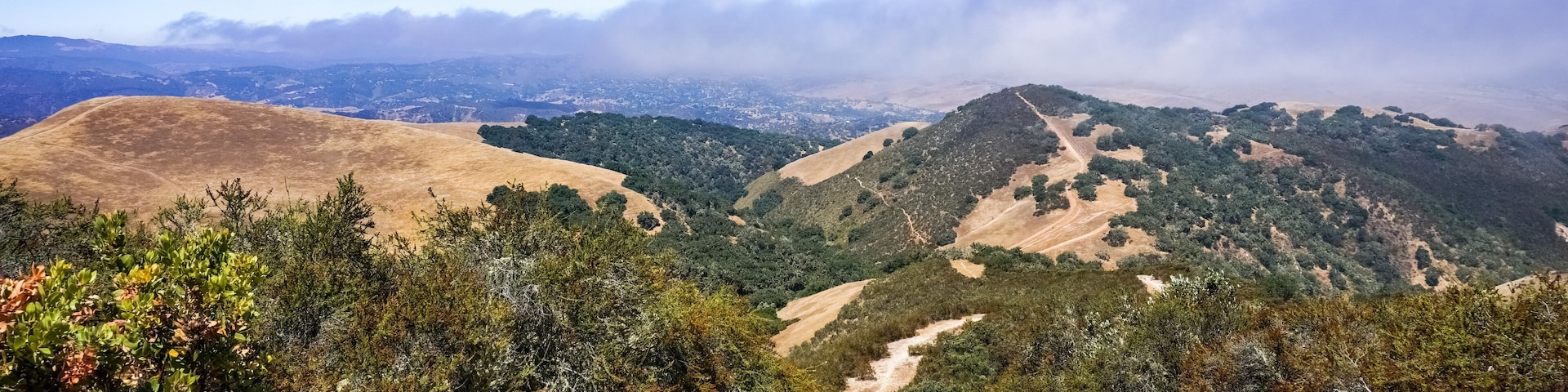 View towards Ollason Peak, Toro Park, California