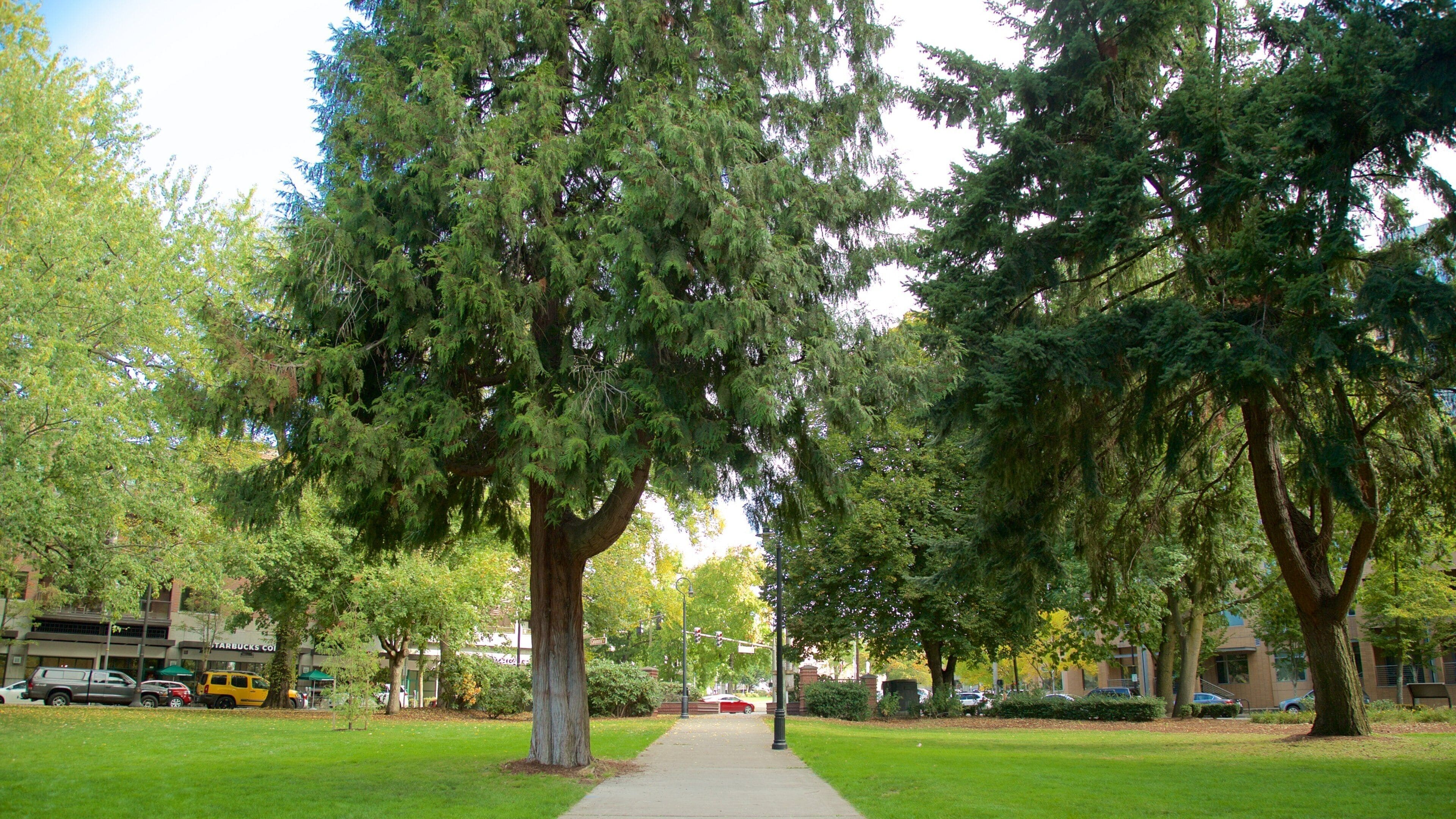 Esther Short Park featuring a garden