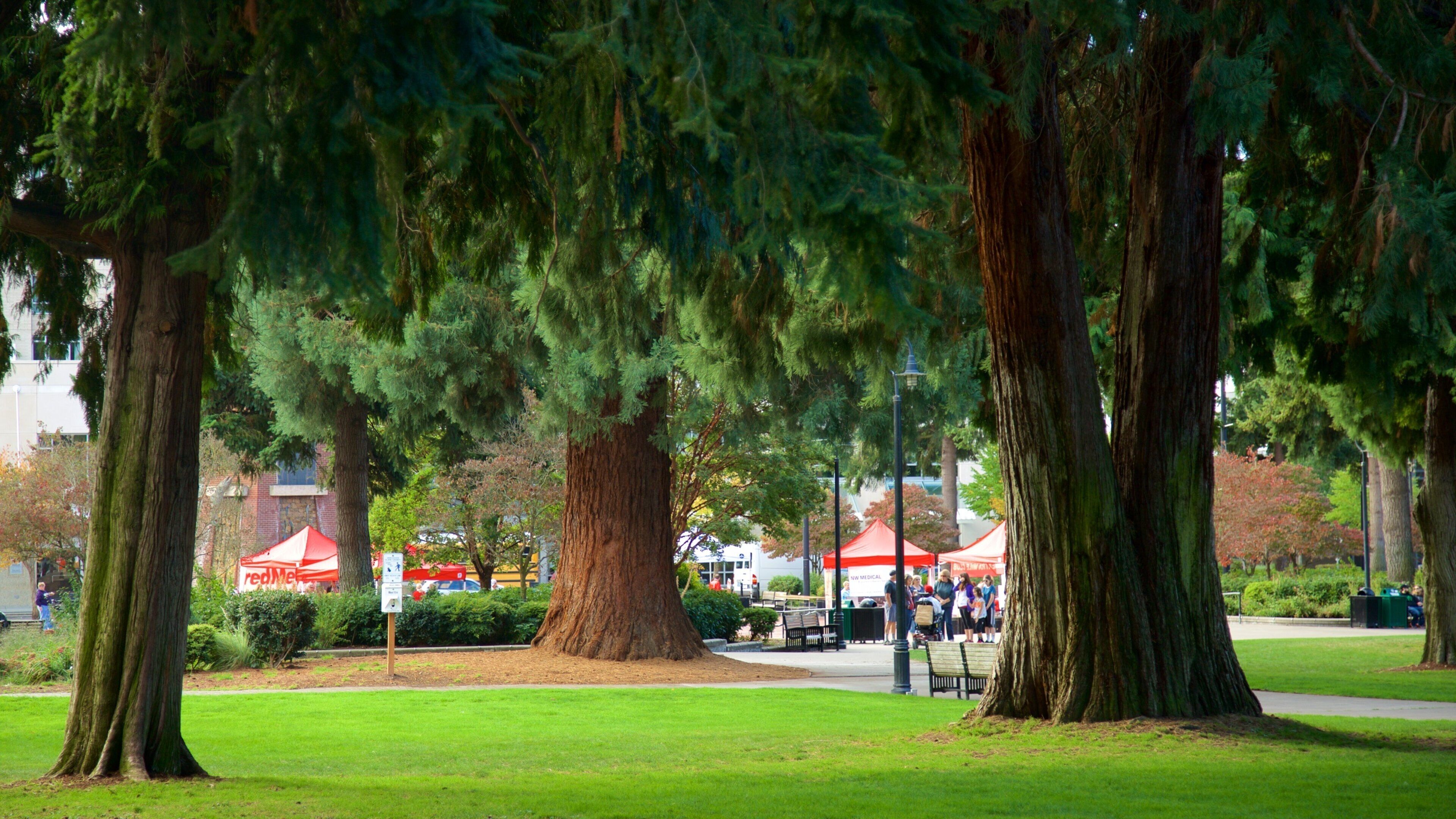 Esther Short Park que inclui um jardim