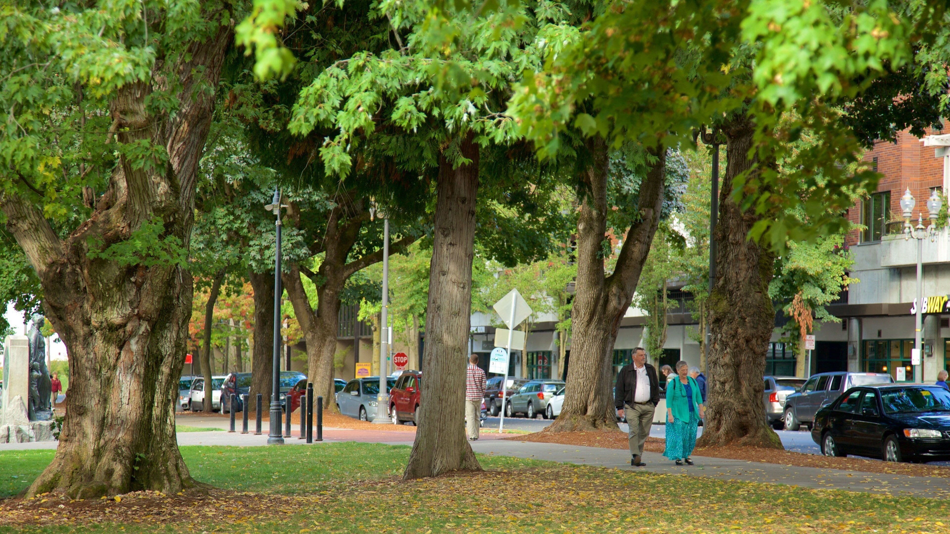 Esther Short Park showing a garden and street scenes