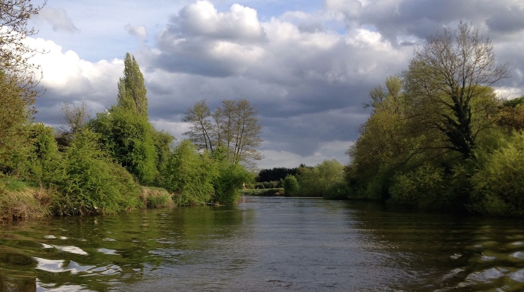 Great part of the river . Taken from the back of my boat 😊