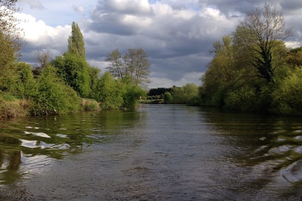 Great part of the river . Taken from the back of my boat đ
