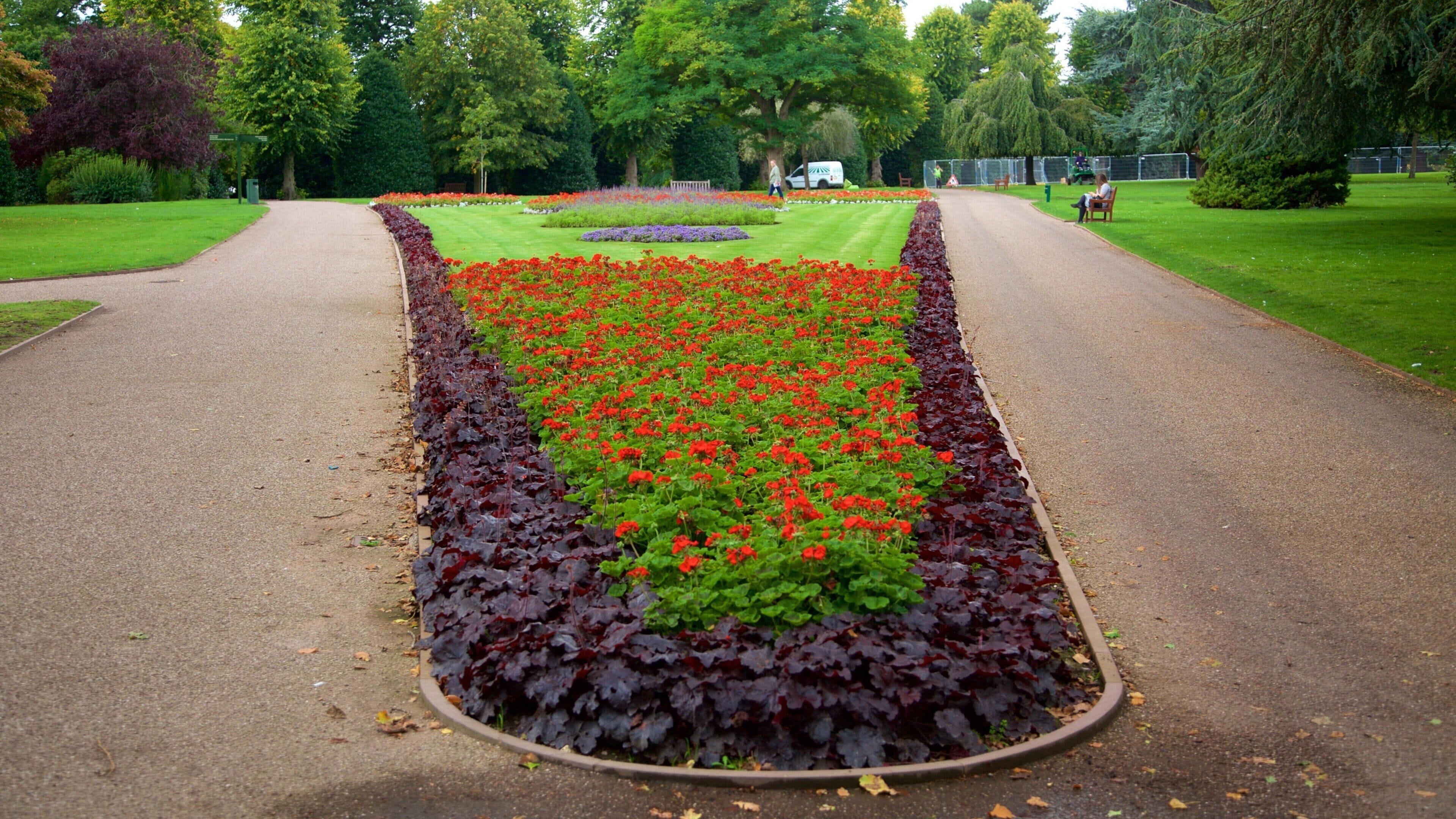 Grosvenor Park som inkluderer blomster og hage