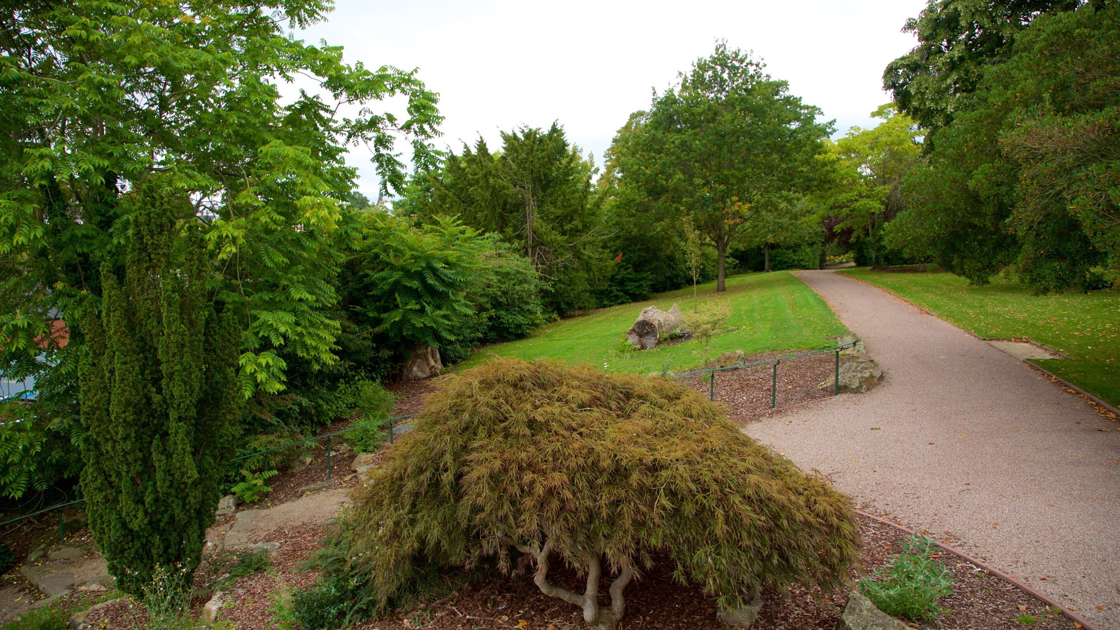 Parque Grosvenor mostrando un parque