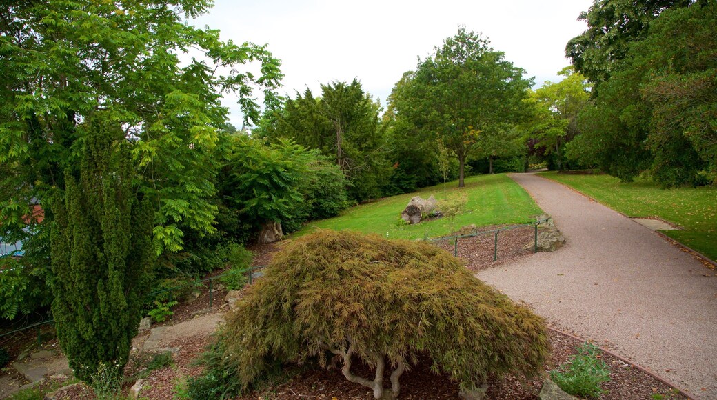 Parque Grosvenor mostrando un parque