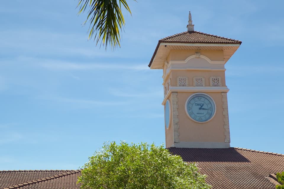A clock tower with a tiled roof and a palm tree in the foreground.