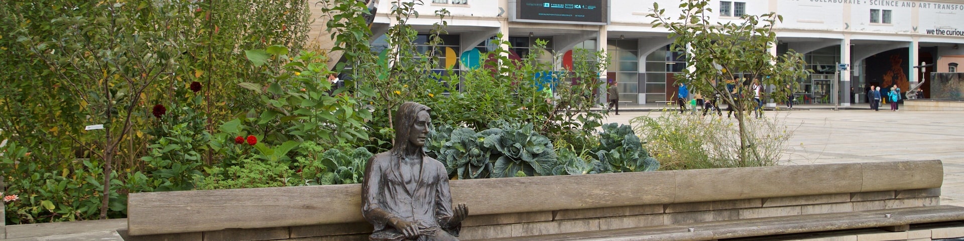 Millennium Square showing a statue or sculpture and outdoor art