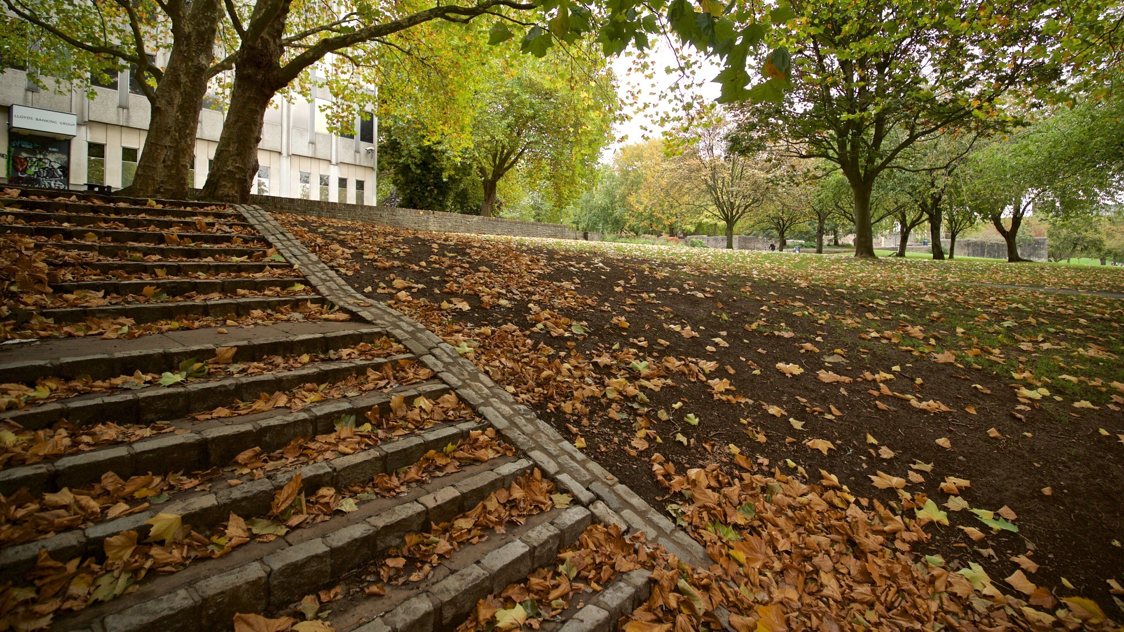 Castle Park showing autumn leaves and a park