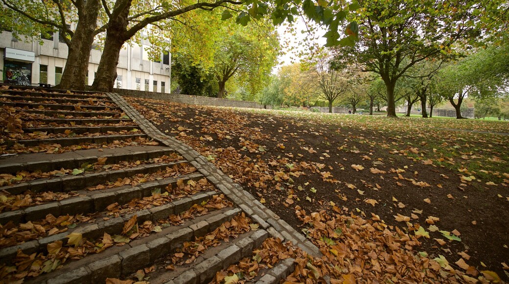 Castle Park showing autumn leaves and a park