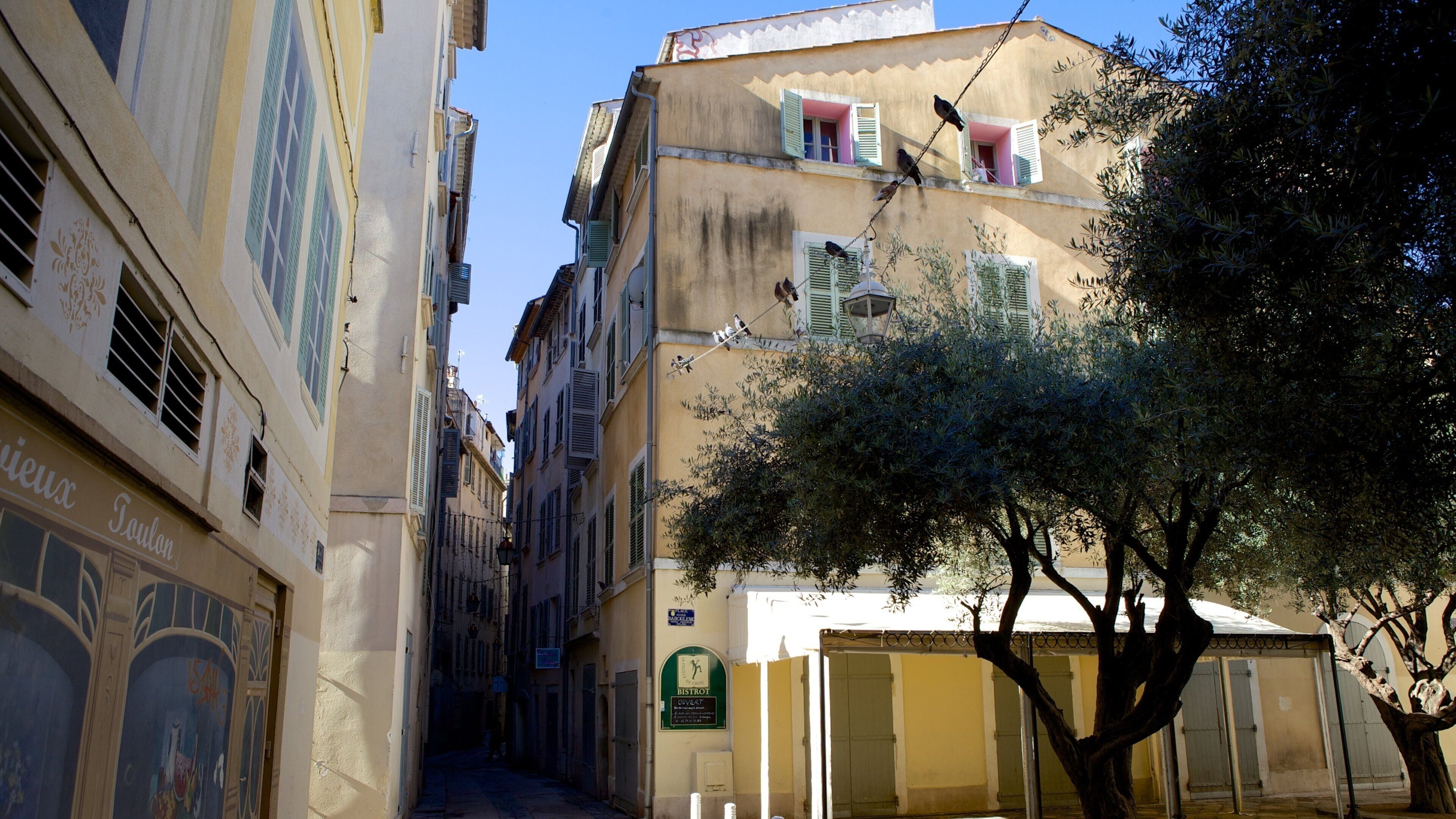 A narrow street with buildings, a tree, and birds perched on a wire.