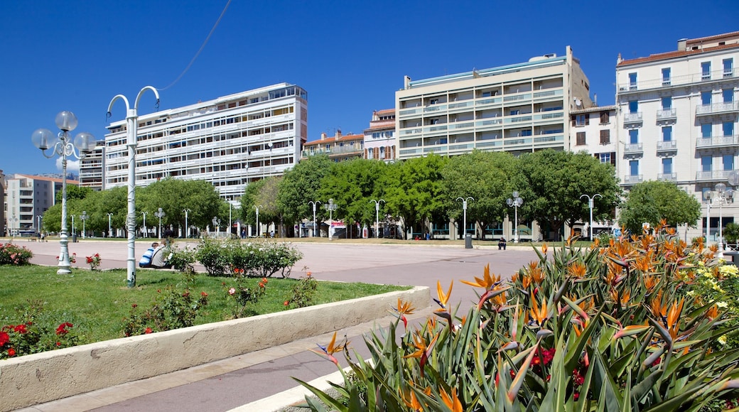 Oude Stad inclusief wilde bloemen, een plein en bloemen