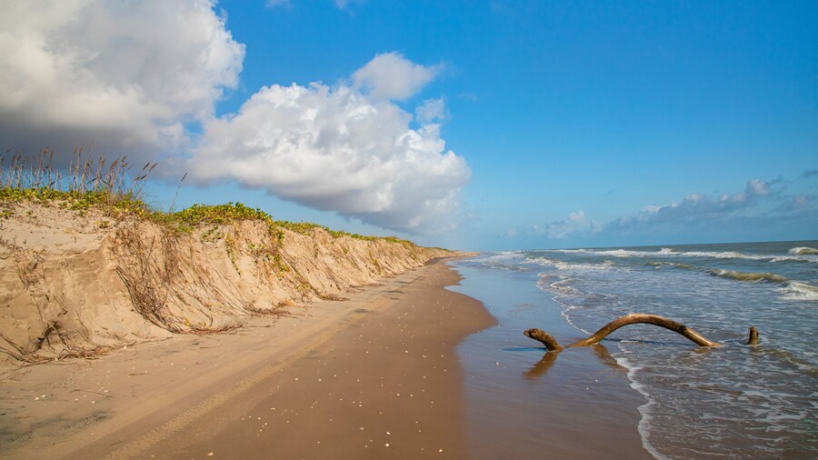 South Padre Island strand