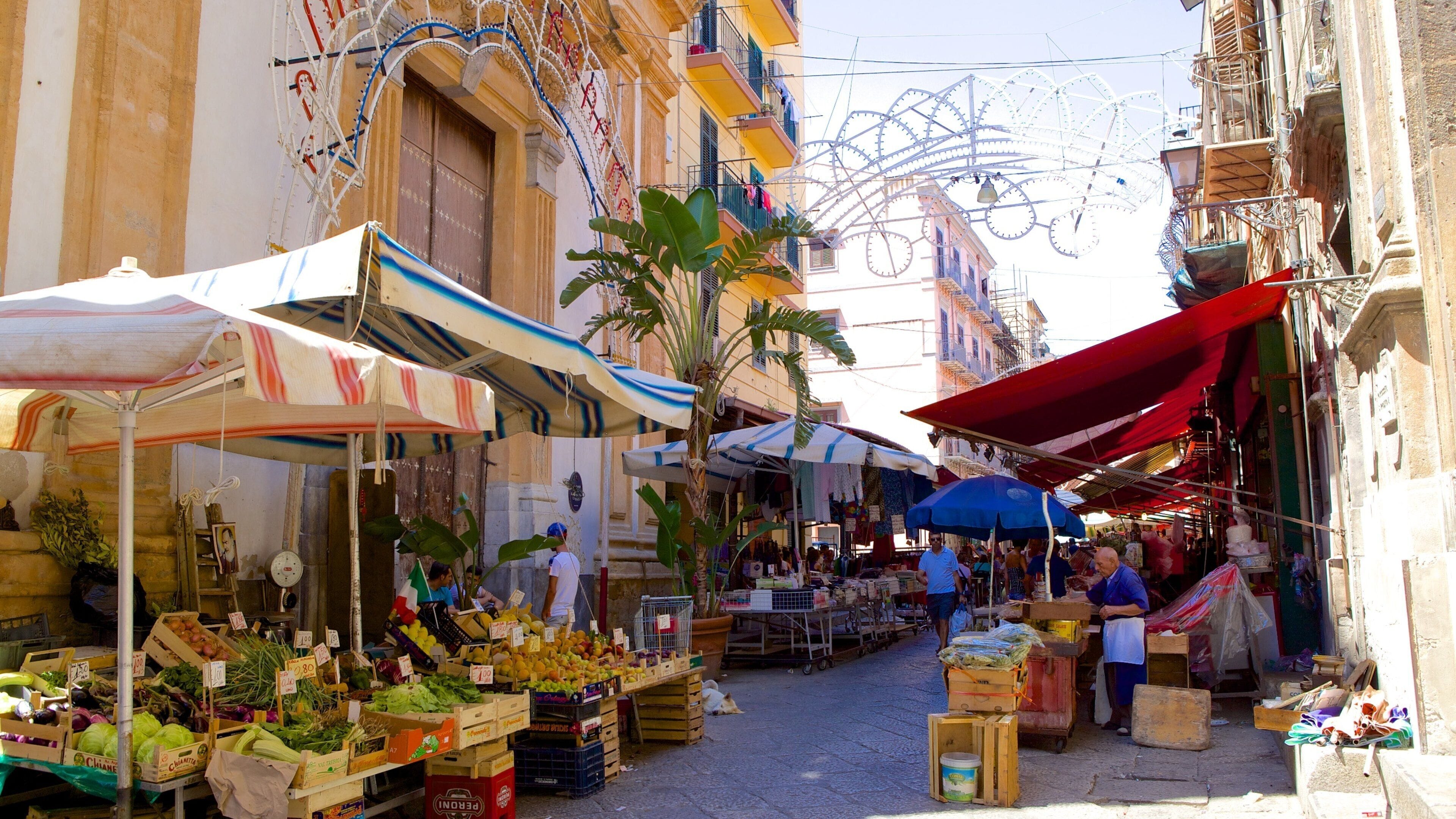 Il Capo Market featuring street scenes and markets