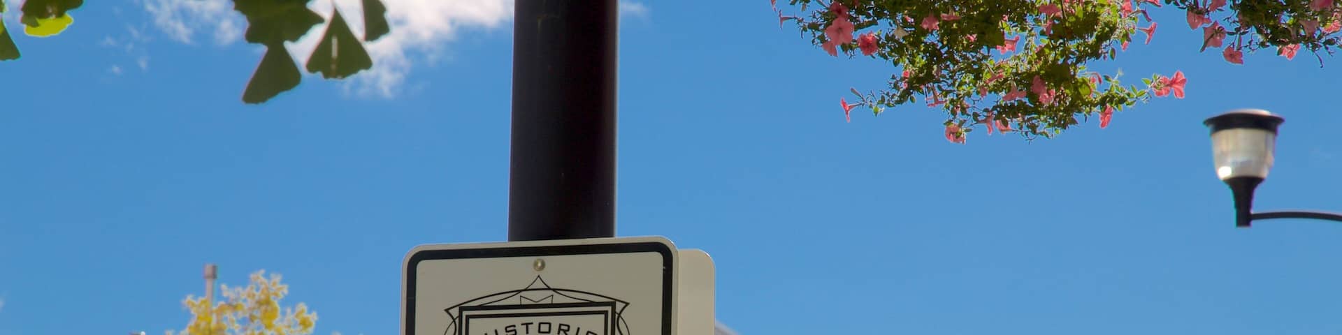 Historic East Village which includes signage