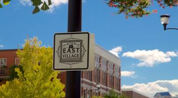 Historic East Village which includes signage