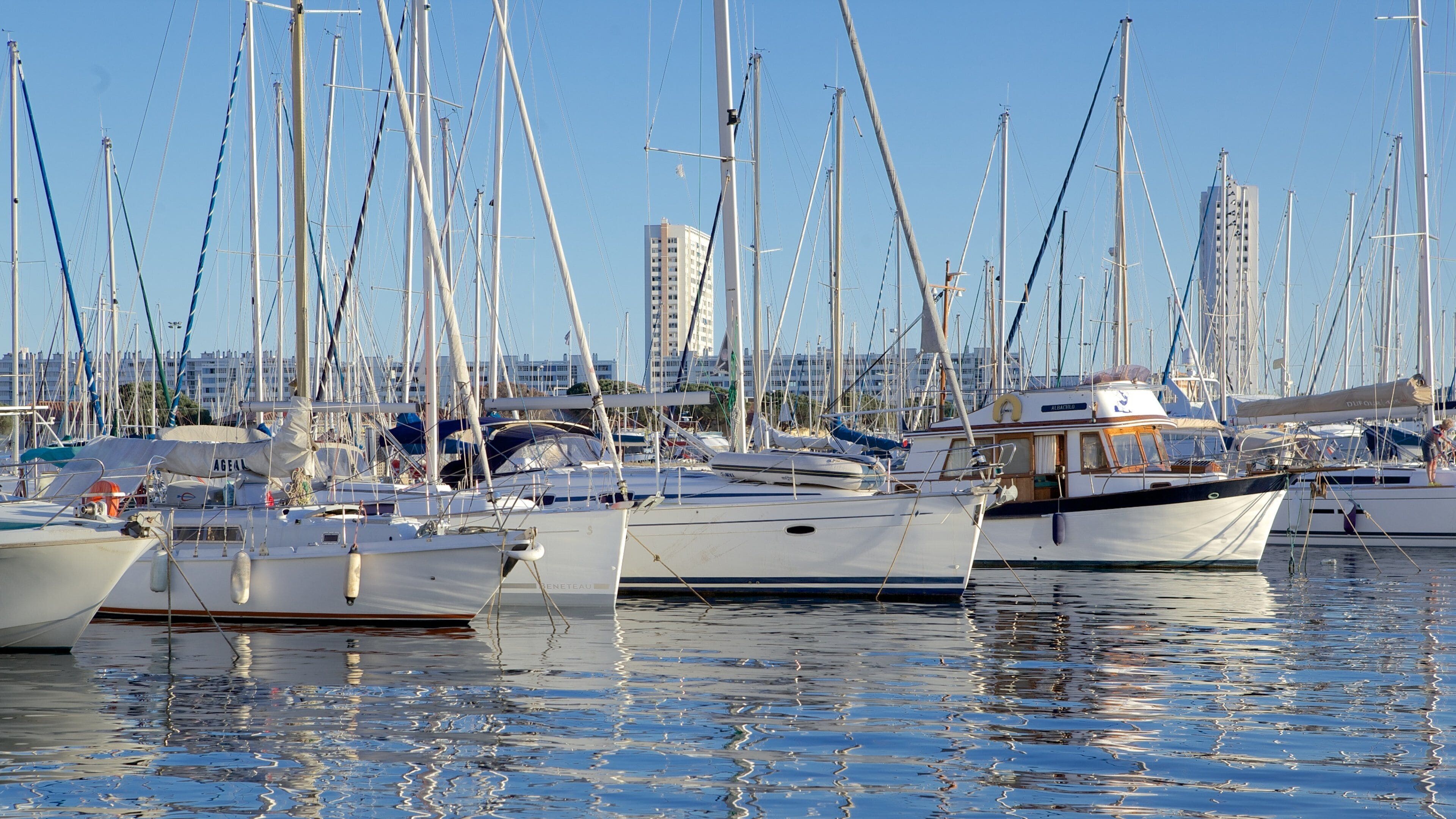 Toulon Marina featuring sailing, a marina and general coastal views