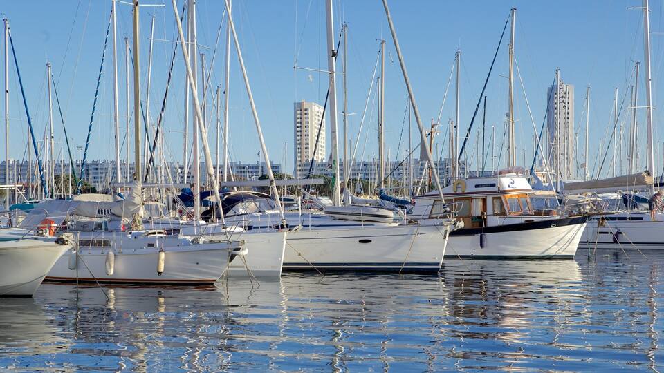 Toulon Marina featuring sailing, a marina and general coastal views