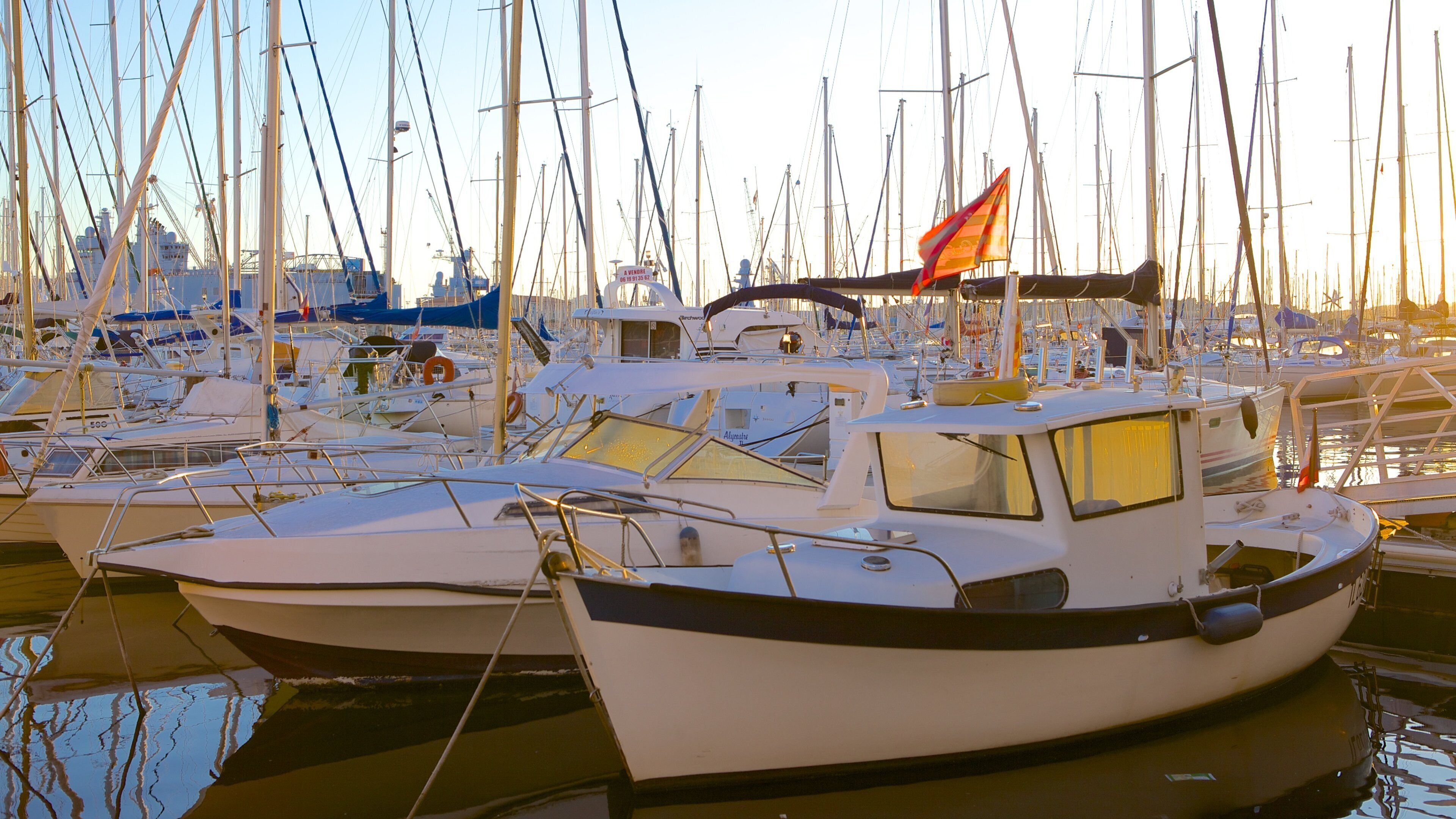 Toulon Marina which includes sailing, boating and a marina