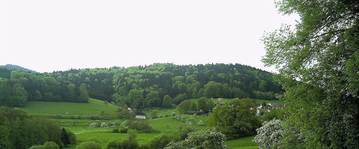 A lush green valley with rolling hills, scattered trees, and a few houses in the distance.
