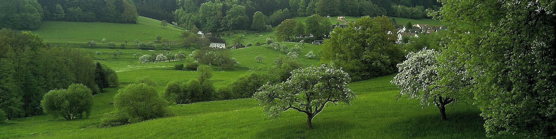A lush green valley with rolling hills, scattered trees, and a few houses in the distance.