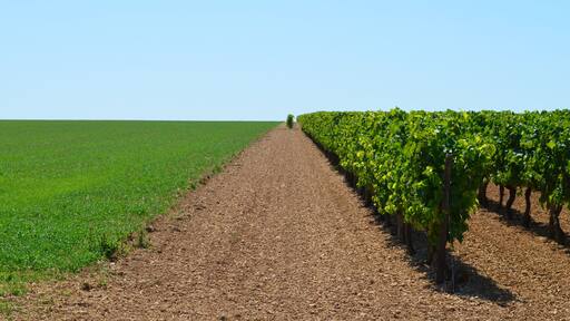 Saint-Jean-d'Angély