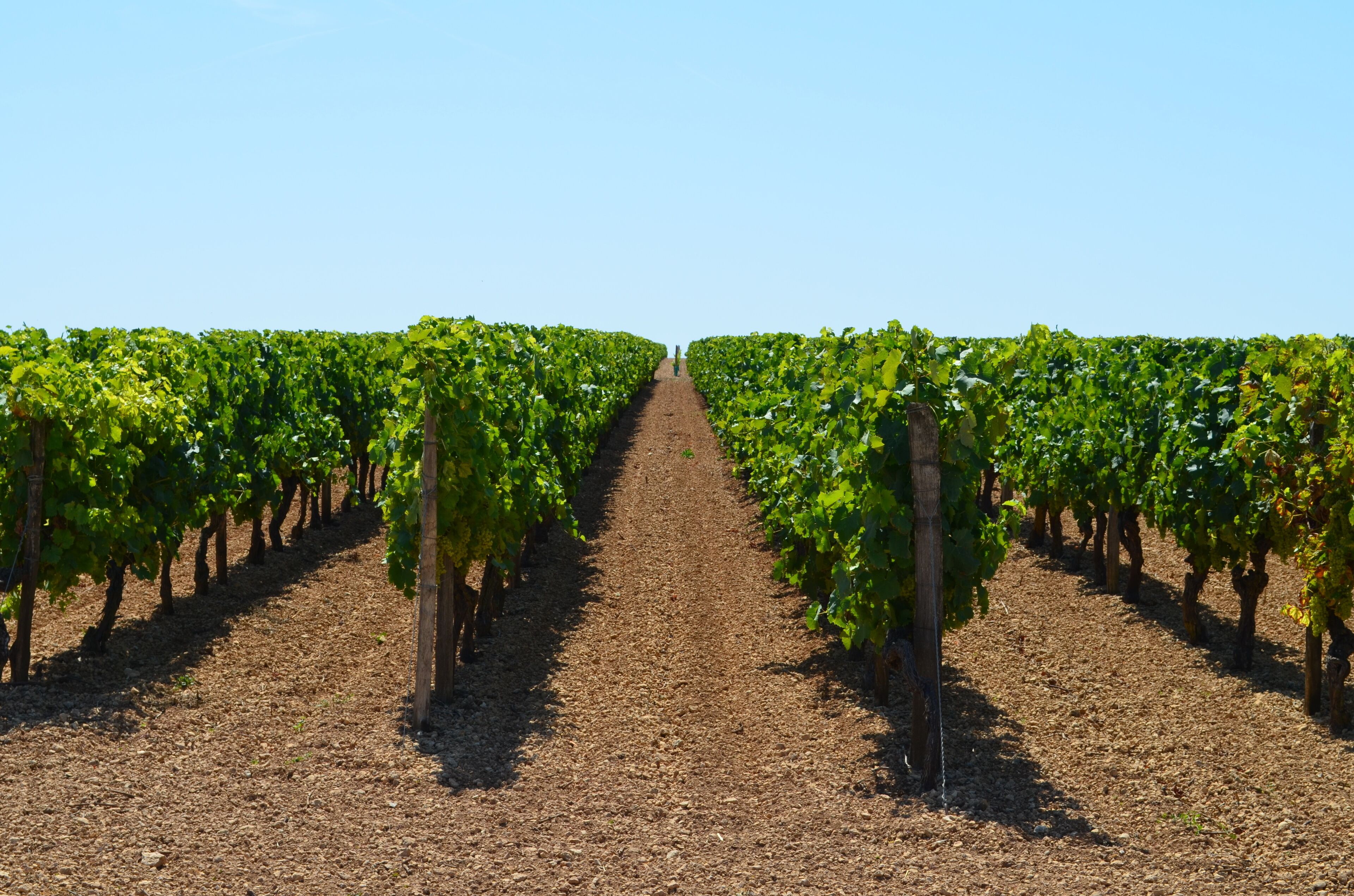 Saint-Jean-d’Angély