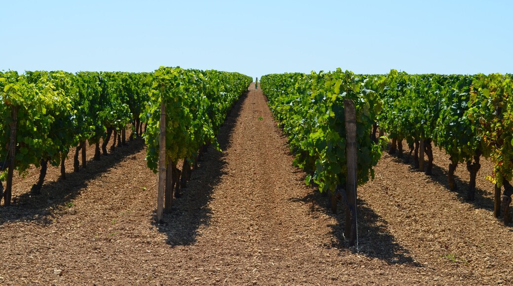 Saint-Jean-d’Angély