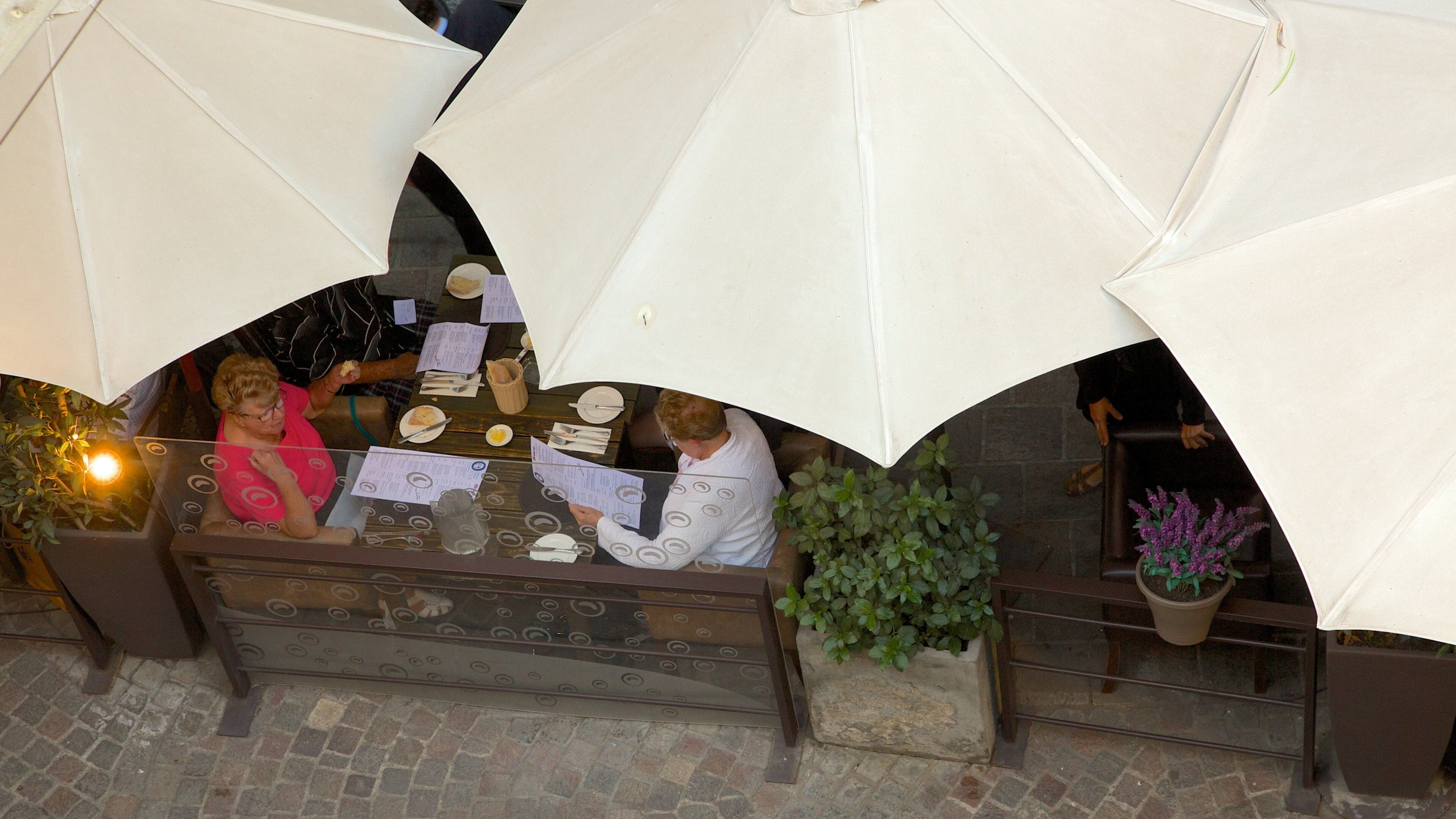 Lastarria featuring dining out, outdoor eating and café lifestyle