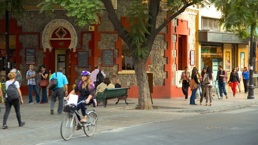 A busy street with pedestrians, a cyclist, and a tree in the foreground.