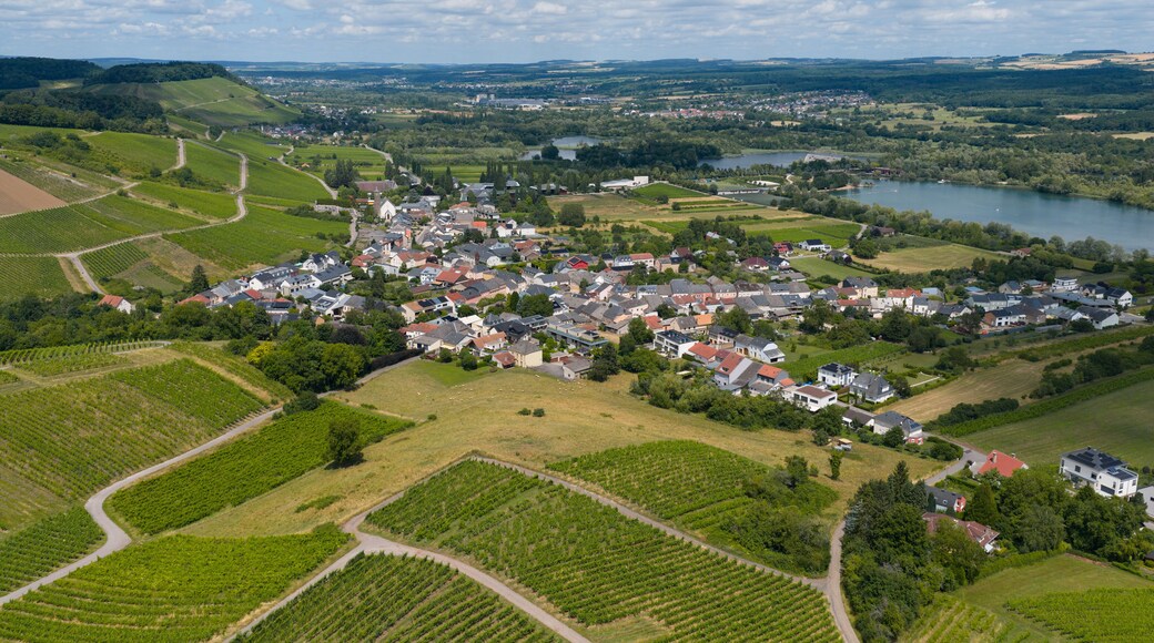 Moselle Valley Wine Growing region in Luxembourg