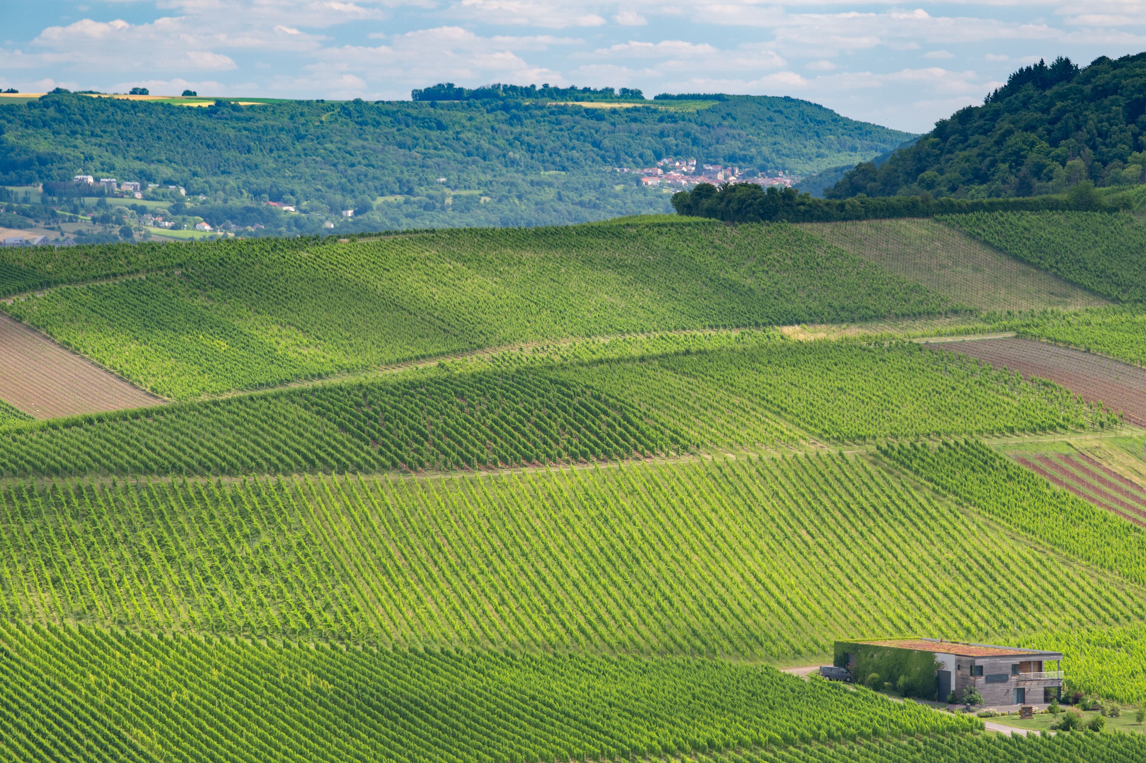 Moselle Valley Wine Growing region in Luxembourg 
