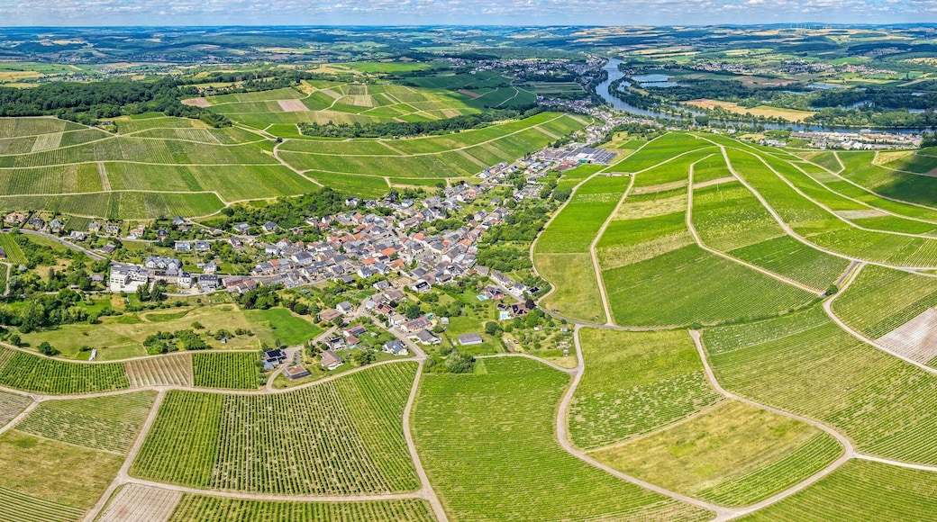 Moselle Valley Wine Growing region in Luxembourg