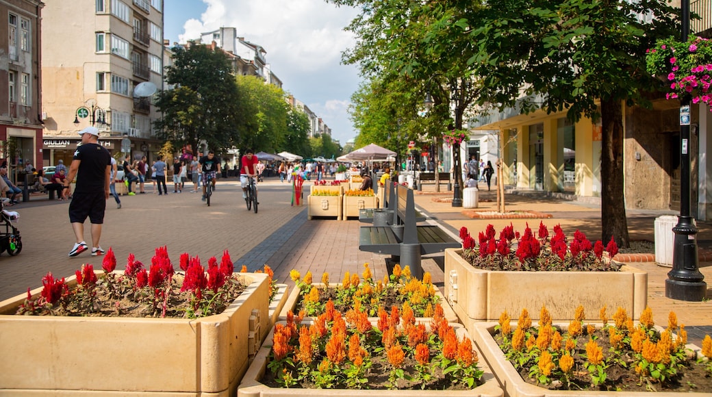 Vitoshka Boulevard featuring flowers