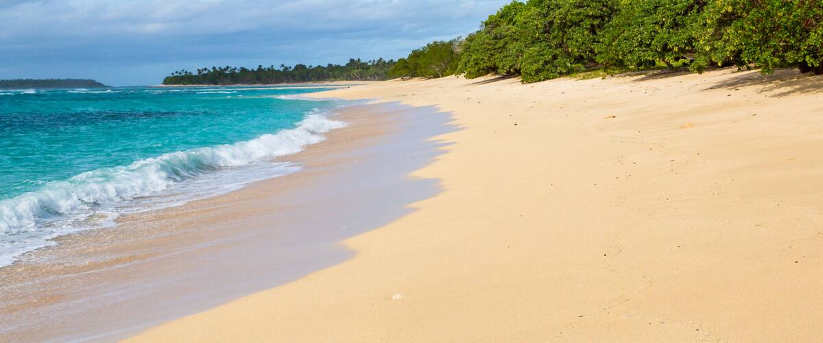 A sandy beach with turquoise water and a line of green vegetation.