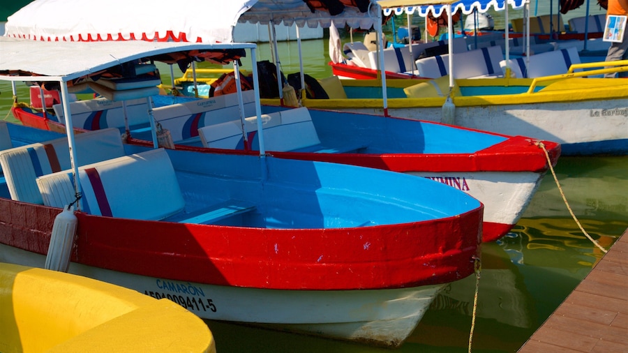 Toluca mostrando uma marina