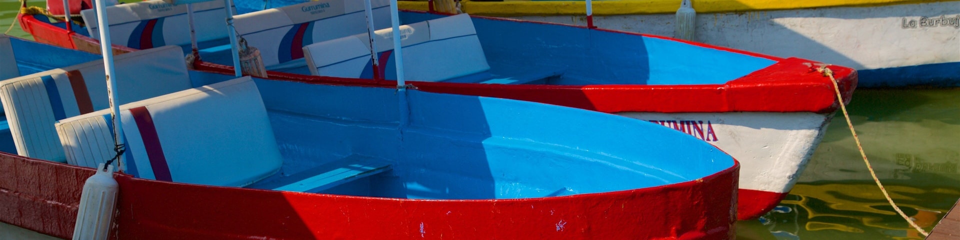 Toluca mostrando uma marina