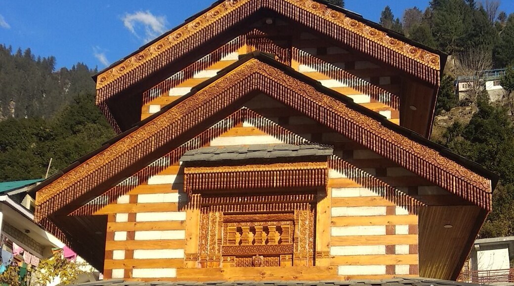 In the hills of Manali is this beautiful temple. It also has natural hot spring for taking dip. Hot spring bath house for male and female are separate. There is no entry fee for temple and bath house.