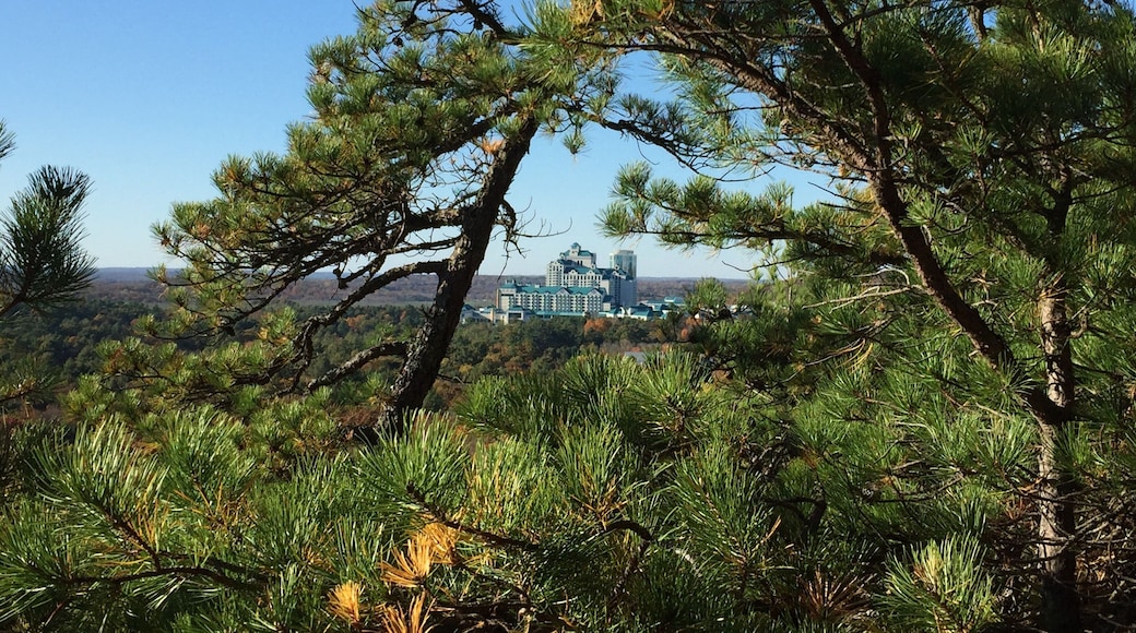 View from the Lantern Hill hiking trail with Foxwoods Resort Casino in Mashantucket, Connecticut seen through the trees