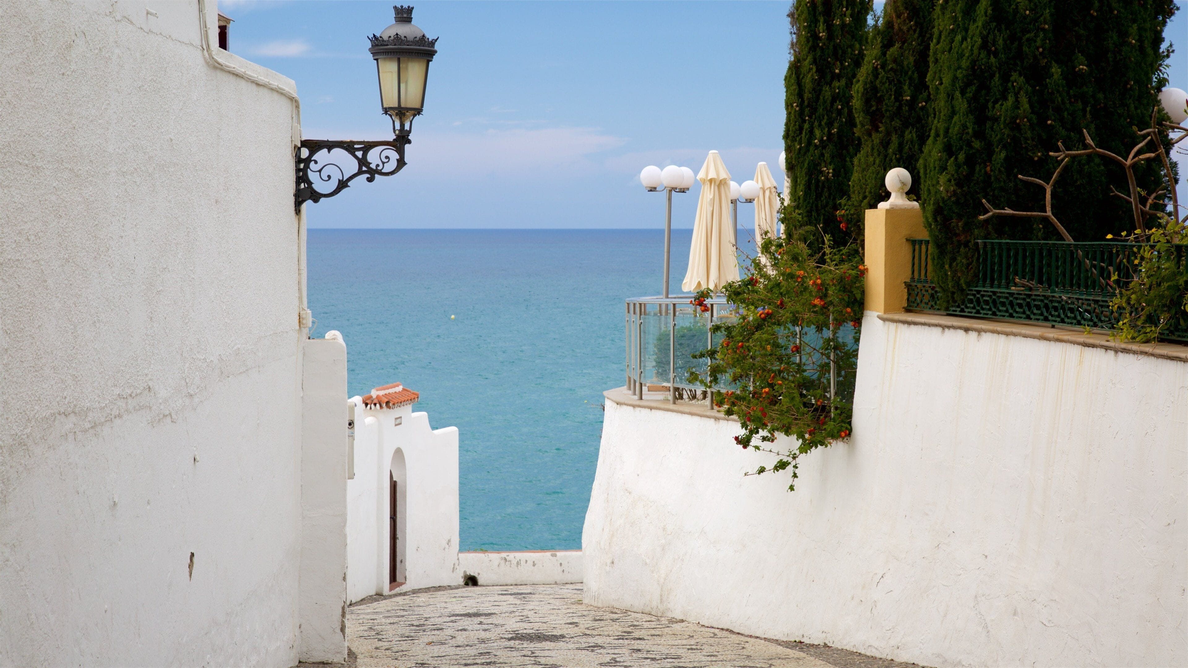 Salon Beach showing general coastal views and a coastal town